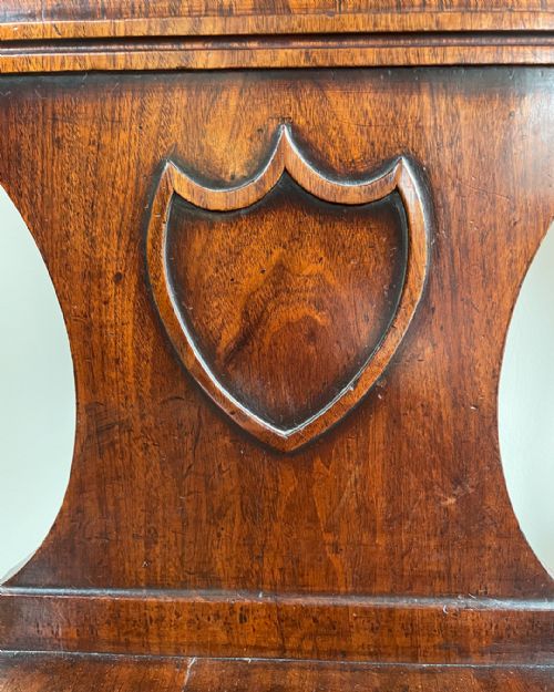 PAIR OF GEORGE IV MAHOGANY HALL CHAIRS - ADDITIONAL PHOTO 8