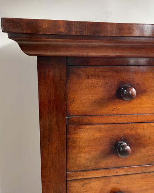 WILLIAM IV MAHOGANY WELLINGTON SECRETAIRE CHEST - ADDITIONAL PHOTO 9