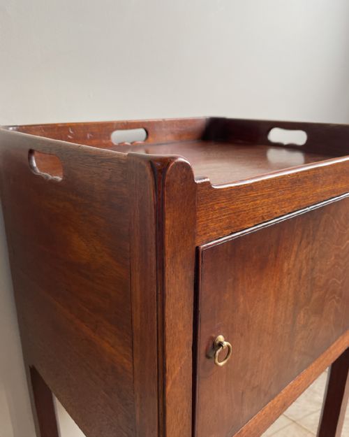 GEORGIAN MAHOGANY POT CUPBOARD - ADDITIONAL PHOTO 7