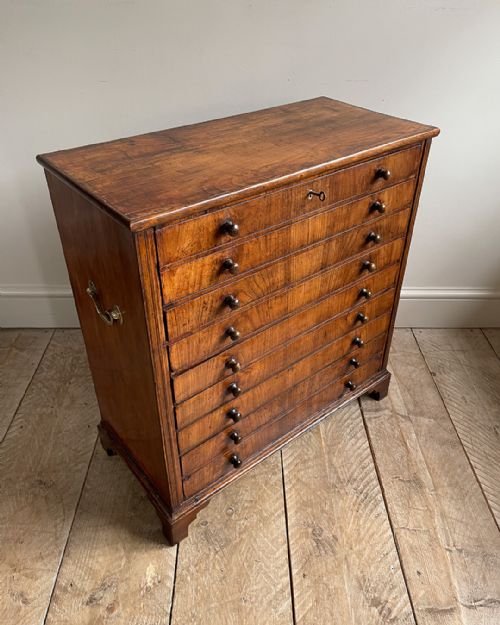 CHARMING 19TH CENTURY FRUITWOOD COLLECTORS CABINET - ADDITIONAL PHOTO 1