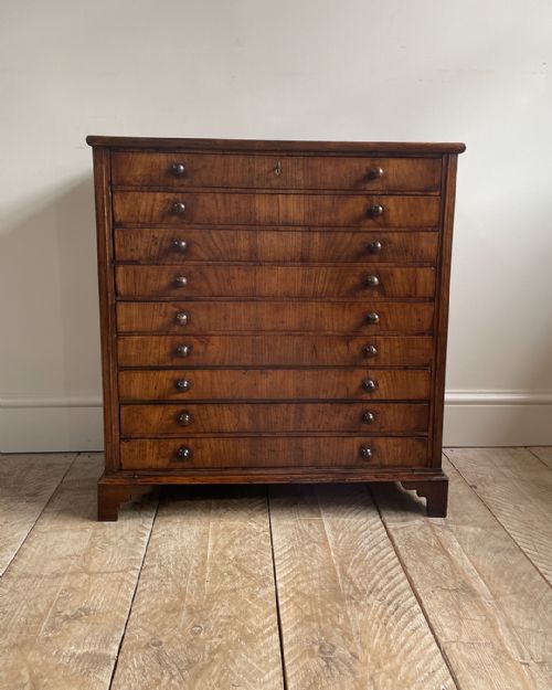 CHARMING 19TH CENTURY FRUITWOOD COLLECTORS CABINET - ADDITIONAL PHOTO 2