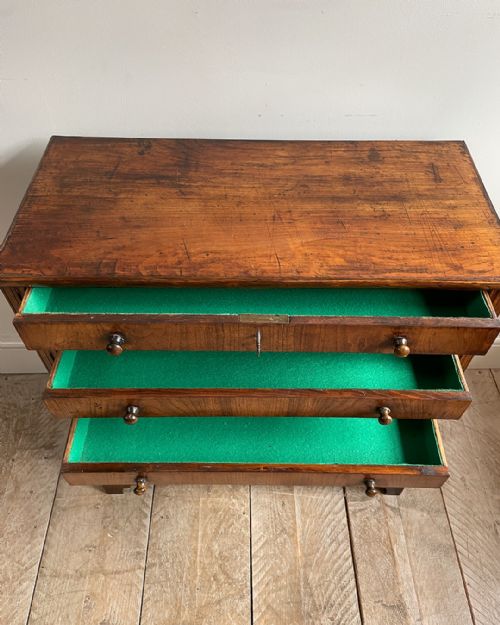 CHARMING 19TH CENTURY FRUITWOOD COLLECTORS CABINET - ADDITIONAL PHOTO 5