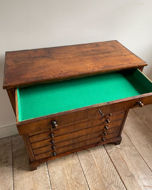CHARMING 19TH CENTURY FRUITWOOD COLLECTORS CABINET - ADDITIONAL PHOTO 7