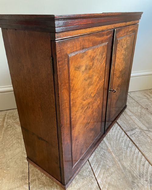 DELIGHTFUL SMALL MAHOGANY WALL HANGING CUPBOARD - ADDITIONAL PHOTO 1