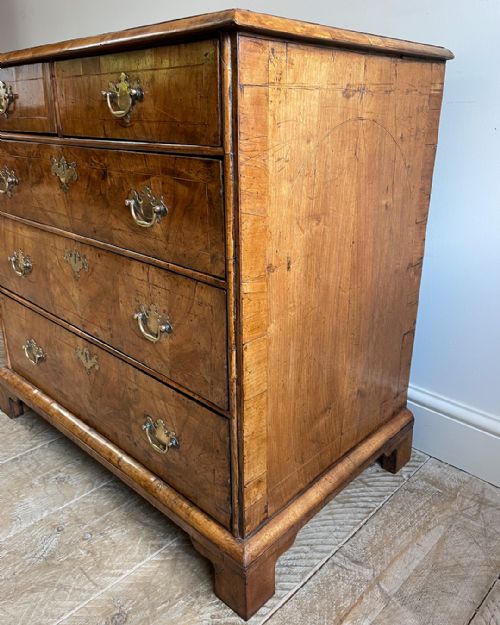 WONDERFUL SMALL WILLIAM AND MARY WALNUT CHEST OF DRAWERS - ADDITIONAL PHOTO 6
