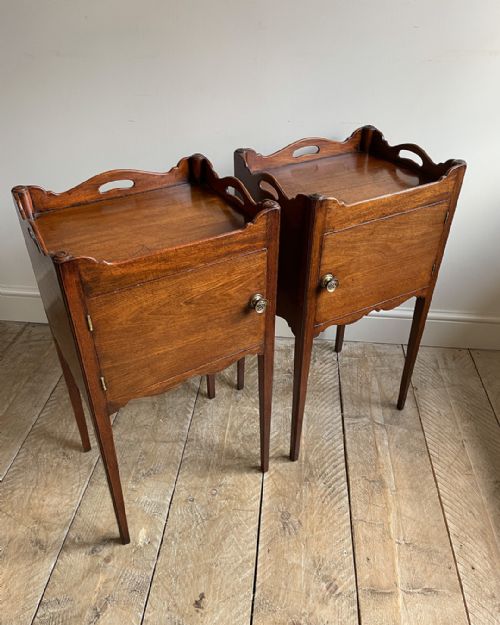 MATCHED PAIR OF MAHOGANY POT CUPBOARDS - ADDITIONAL PHOTO 1