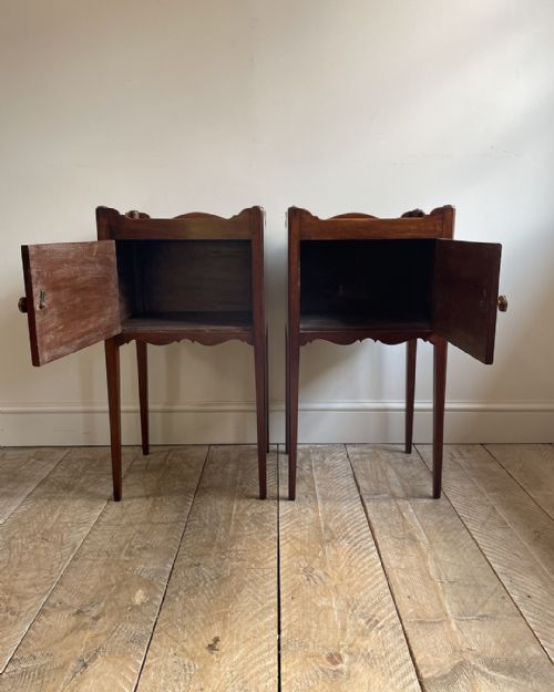 MATCHED PAIR OF MAHOGANY POT CUPBOARDS - ADDITIONAL PHOTO 3