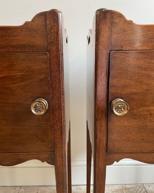 MATCHED PAIR OF MAHOGANY POT CUPBOARDS - ADDITIONAL PHOTO 7