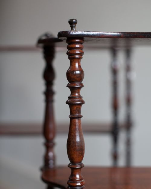 ELEGANT PAIR OF 19TH CENTURY MAHOGANY WALL SHELVES - ADDITIONAL PHOTO 3