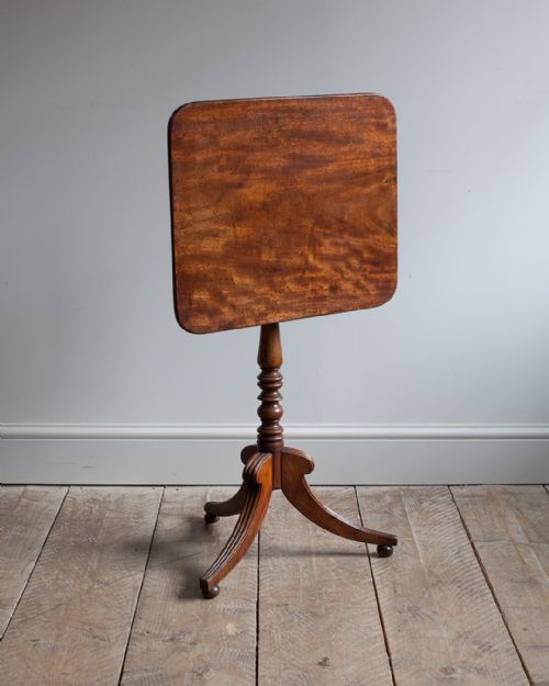 regency mahogany tripod table - CATEGORY: ANTIQUE TABLES - DATED REGENCY