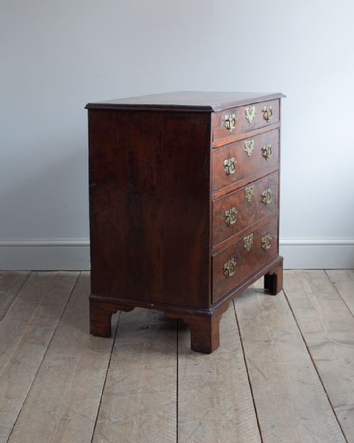 GEORGIAN YEW WOOD CHEST OF DRAWERS - ADDITIONAL PHOTO 3