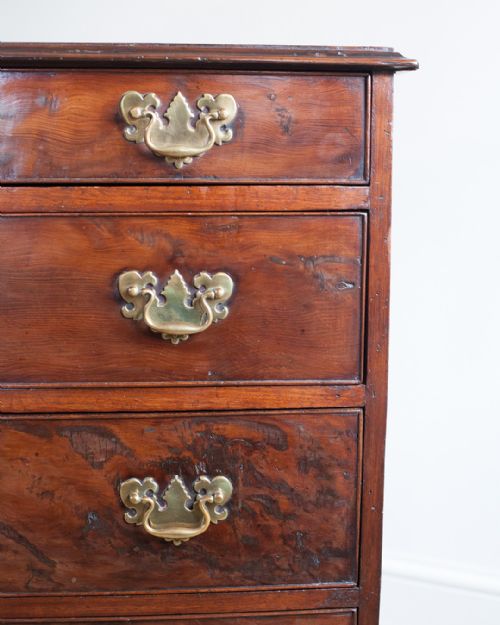 GEORGIAN YEW WOOD CHEST OF DRAWERS - ADDITIONAL PHOTO 4