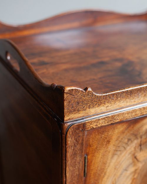 GEORGE III MAHOGANY BEDSIDE CUPBOARD - ADDITIONAL PHOTO 5