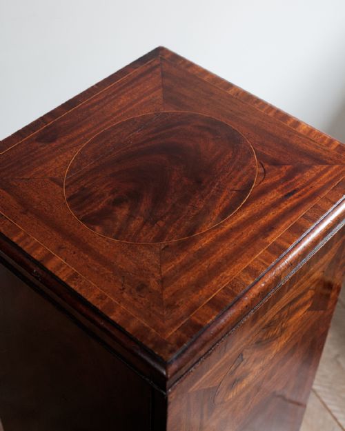 18TH CENTURY MAHOGANY PEDESTALS IN THE MANNER OF GILLOWS - ADDITIONAL PHOTO 3