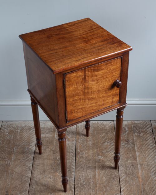 GEORGE IV FADED MAHOGANY POT CUPBOARD - ADDITIONAL PHOTO 1