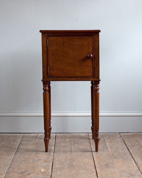 GEORGE IV FADED MAHOGANY POT CUPBOARD - ADDITIONAL PHOTO 2
