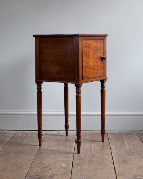 GEORGE IV FADED MAHOGANY POT CUPBOARD - ADDITIONAL PHOTO 3
