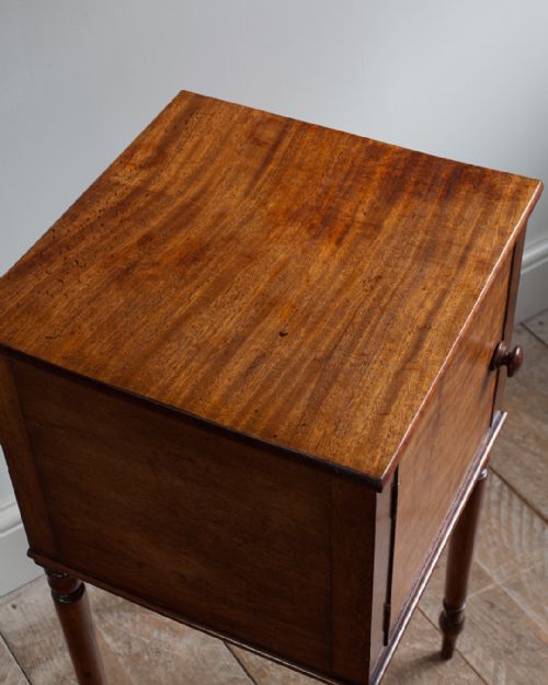 GEORGE IV FADED MAHOGANY POT CUPBOARD - ADDITIONAL PHOTO 5