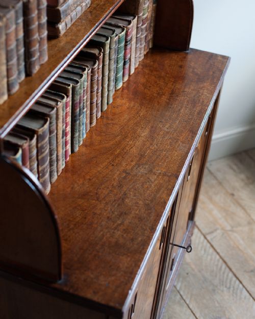 REGENCY MAHOGANY SIDE CABINET - ADDITIONAL PHOTO 4