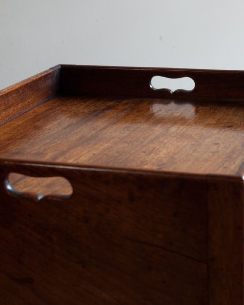 GEORGIAN MAHOGANY POT CUPBOARD - ADDITIONAL PHOTO 3