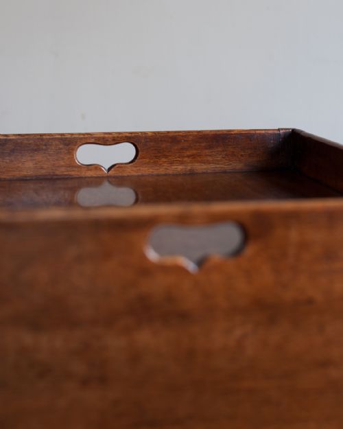 GEORGIAN MAHOGANY POT CUPBOARD - ADDITIONAL PHOTO 6