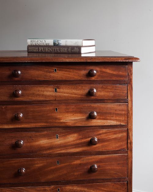 SUPERB 19TH CENTURY MAHOGANY COLLECTOR'S CABINET - ADDITIONAL PHOTO 3