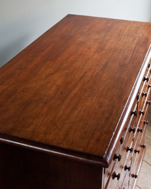 SUPERB 19TH CENTURY MAHOGANY COLLECTOR'S CABINET - ADDITIONAL PHOTO 5