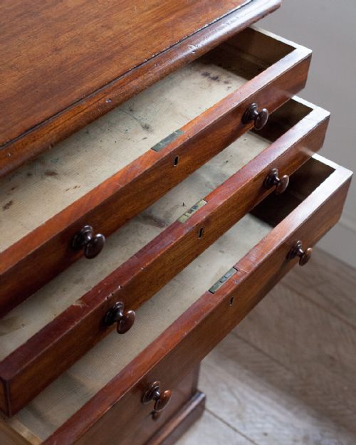 SUPERB 19TH CENTURY MAHOGANY COLLECTOR'S CABINET - ADDITIONAL PHOTO 6