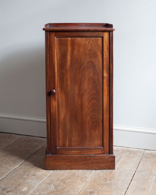 19TH CENTURY MAHOGANY PEDESTAL POT CUPBOARD - ADDITIONAL PHOTO 1