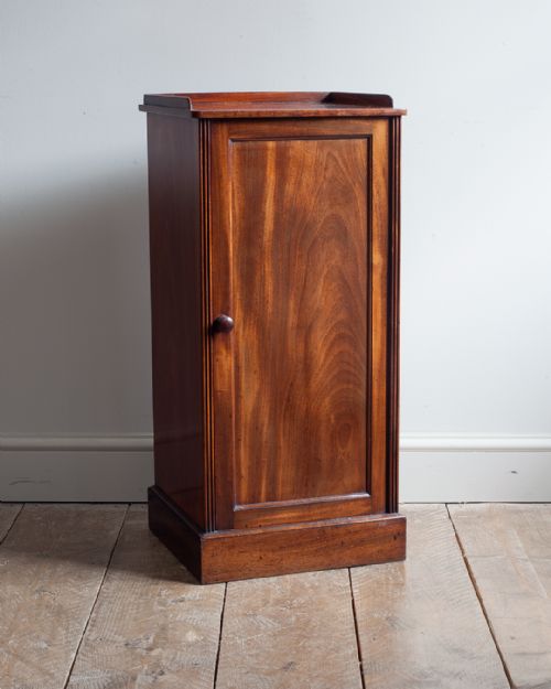 19TH CENTURY MAHOGANY PEDESTAL POT CUPBOARD - ADDITIONAL PHOTO 2