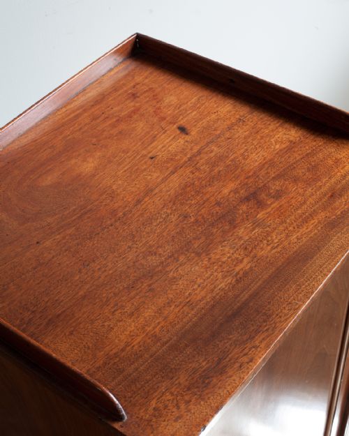 19TH CENTURY MAHOGANY PEDESTAL POT CUPBOARD - ADDITIONAL PHOTO 3