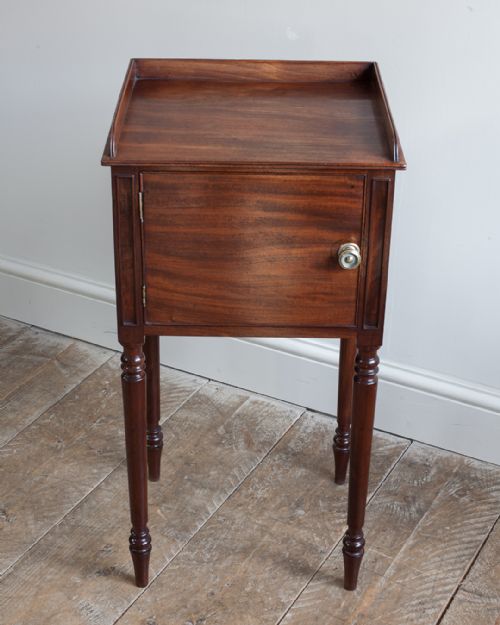 19TH CENTURY MAHOGANY POT CUPBOARD - ADDITIONAL PHOTO 1