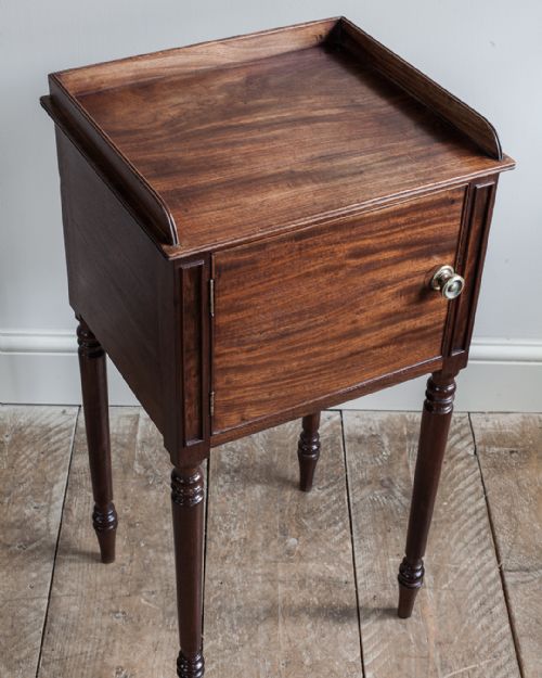 19TH CENTURY MAHOGANY POT CUPBOARD - ADDITIONAL PHOTO 2