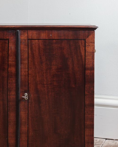 SMALL GEORGE III MAHOGANY WALL CUPBOARD - ADDITIONAL PHOTO 6