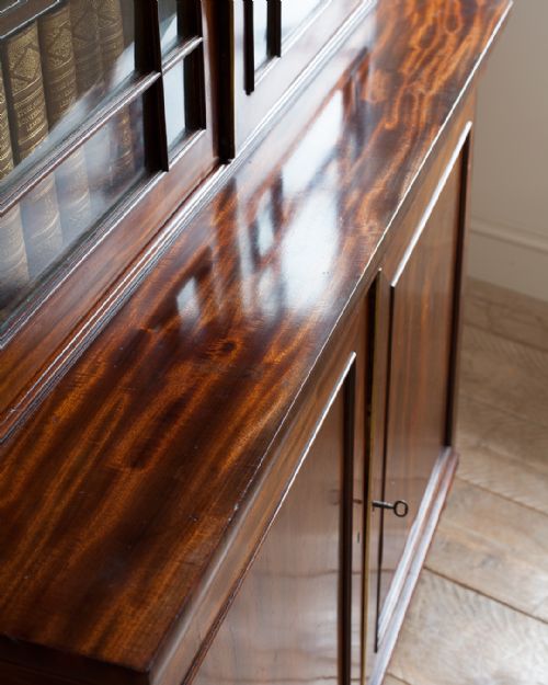WILLIAM IV MAHOGANY BOOKCASE CABINET - ADDITIONAL PHOTO 3