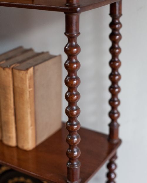 19TH CENTURY MAHOGANY WALL SHELVES - ADDITIONAL PHOTO 3