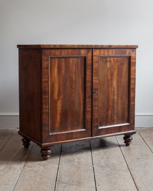 19TH CENTURY MAHOGANY SIDE CABINET