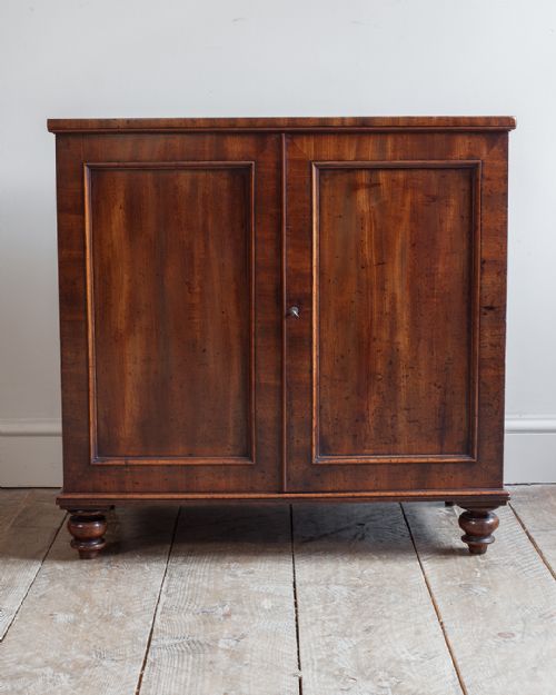 19TH CENTURY MAHOGANY SIDE CABINET - ADDITIONAL PHOTO 2