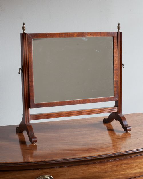 Charming Regency Mahogany Swing Mirror