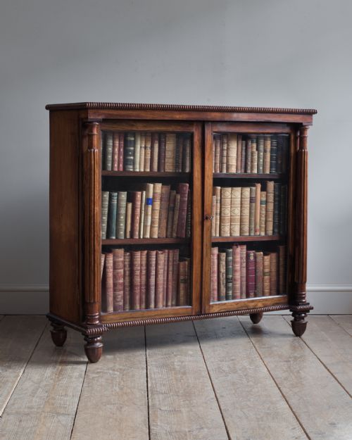 Superb Regency rosewood side cabinet
