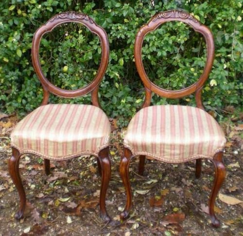 Pair Victorian Balloon Back Carved Walnut Dining Chairs