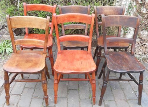 Six Elm & Beech Oxford Kitchen Chairs