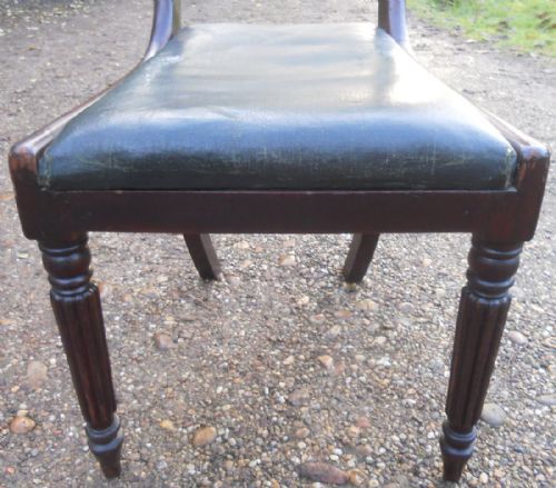 REGENCY MAHOGANY DINING CHAIR - ADDITIONAL PHOTO 3