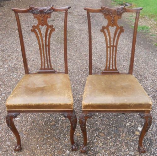 Pair Edwardian Mahogany Dining Chairs