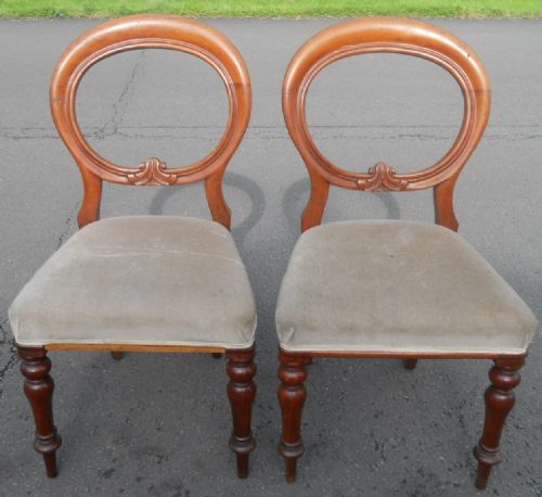 Pair Victorian Mahogany Balloon Back Dining Chairs