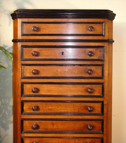VICTORIAN AESTHETIC STYLE WALNUT COLLECTORS CHESTCABINET C1870 - ADDITIONAL PHOTO 1