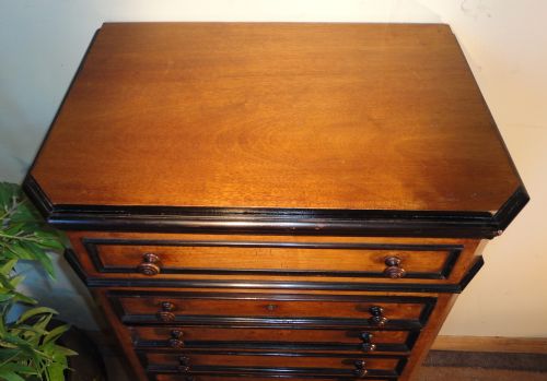 VICTORIAN AESTHETIC STYLE WALNUT COLLECTORS CHESTCABINET C1870 - ADDITIONAL PHOTO 3
