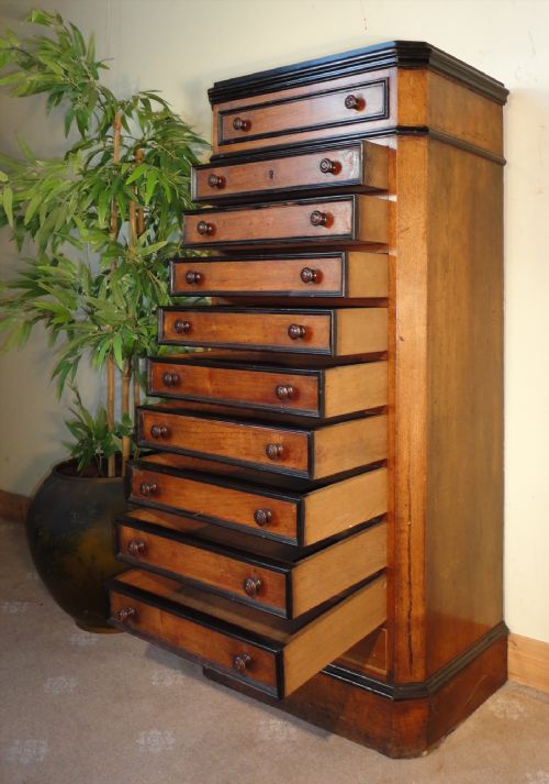 VICTORIAN AESTHETIC STYLE WALNUT COLLECTORS CHESTCABINET C1870 - ADDITIONAL PHOTO 4