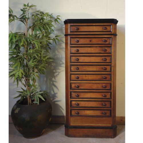VICTORIAN AESTHETIC STYLE WALNUT COLLECTORS CHESTCABINET C1870 - ADDITIONAL PHOTO 6