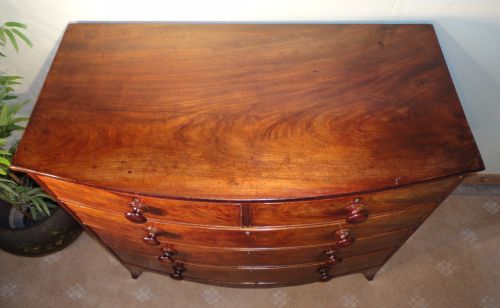 REGENCY FLAME MAHOGANY BOWFRONT CHEST OF DRAWERS - ADDITIONAL PHOTO 14